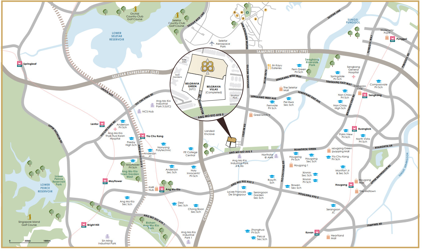 Belgravia Ace Location Belgravia Ace Location