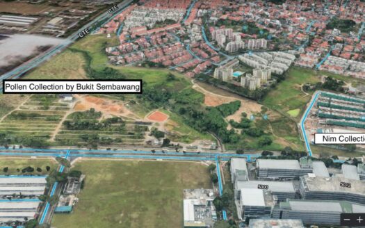 Pollen Collection | By Bukit Sembawang | Project Info