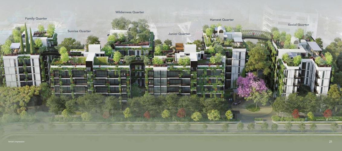 Jervois Concept Jervois Concept