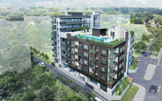 Noma | By Macly Group