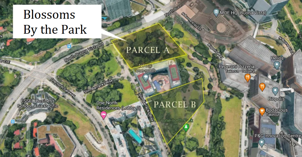 Blossoms by the park location Blossoms by the park location
