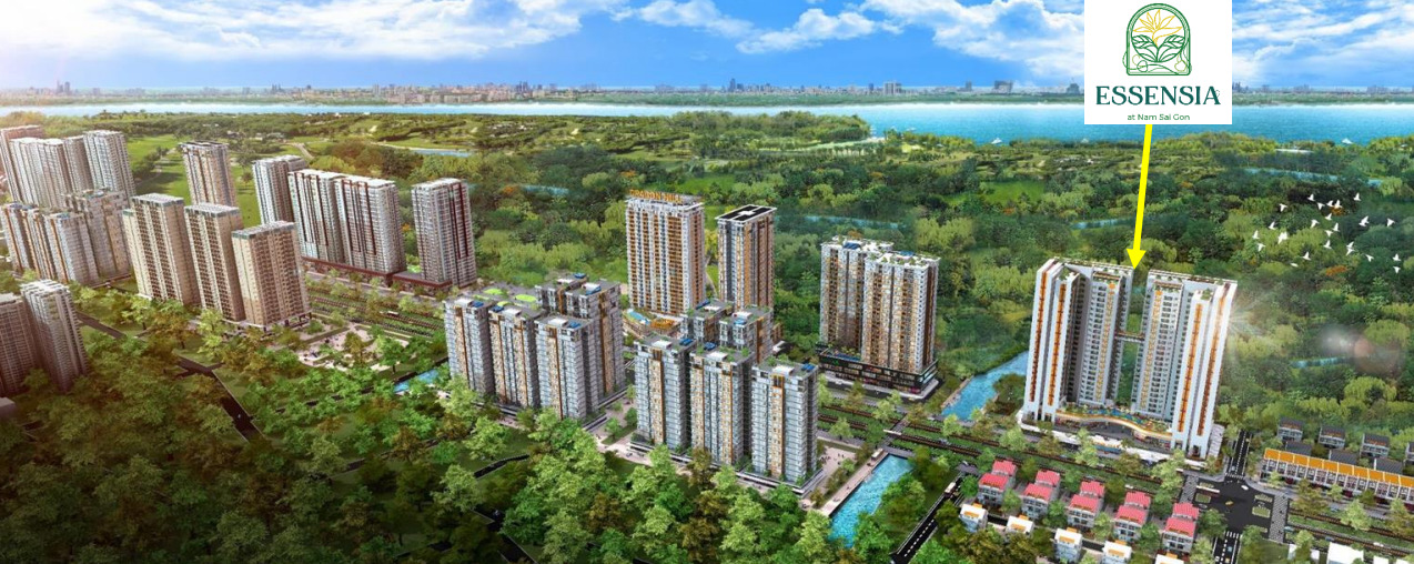Essensia Dragon City Essensia Dragon City