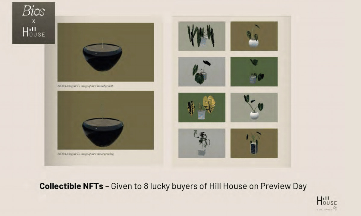 Hill House NFT Hill House NFT