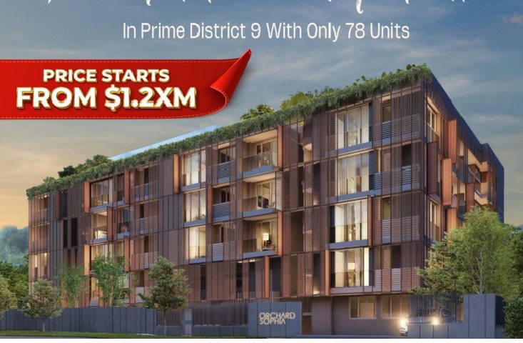 Orchard Sophia | DB2Land | Official